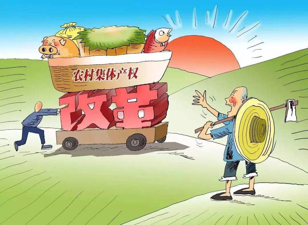 集体资产那些事儿