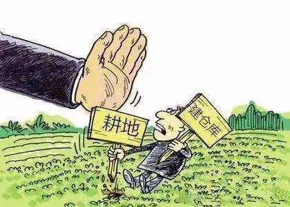 重磅！耕地保护立法升级，违法占地查处或有重大变化！