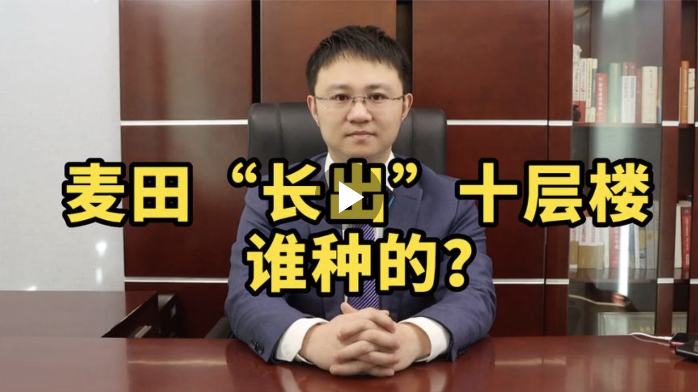 麦田“长出”十层楼，谁种的？