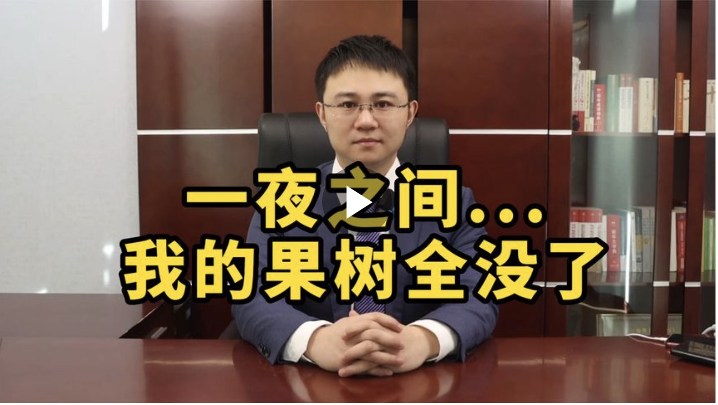 一夜之间。。。我的果树全没了