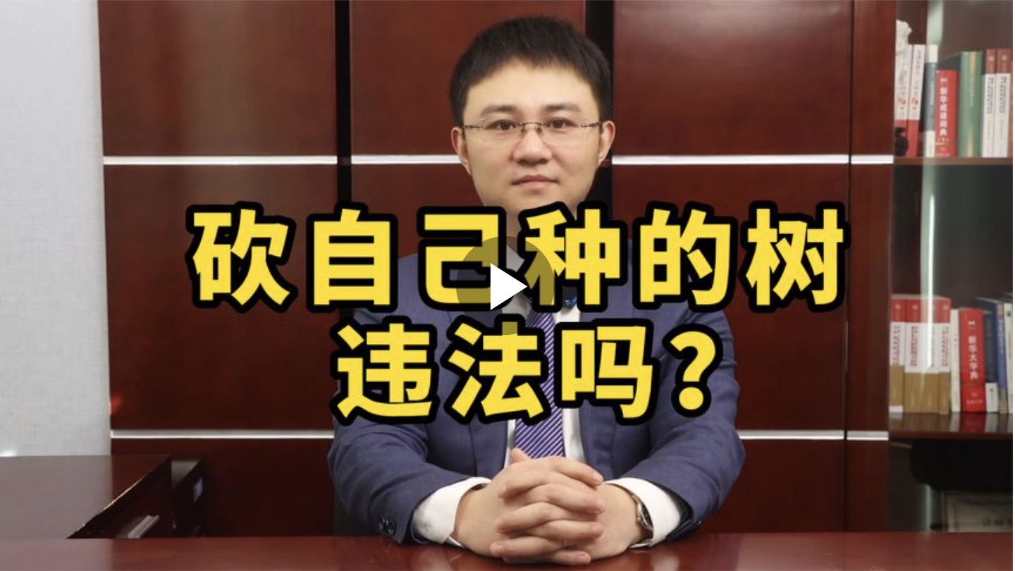 砍自己种的树，违法吗？