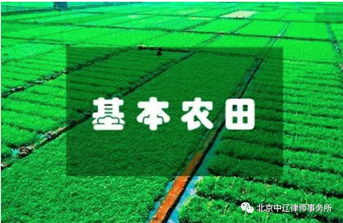 永久基本农田和一般耕地有什么区别？被认定成违法用地怎么办？
