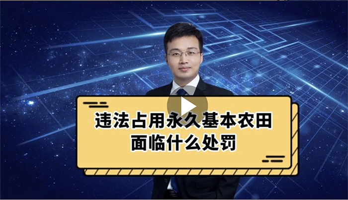违法占用永久基本农田面临什么处罚