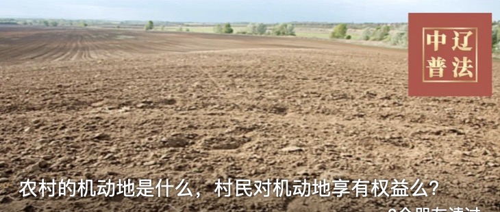 农村的机动地是什么，村民对机动地享有权益么？