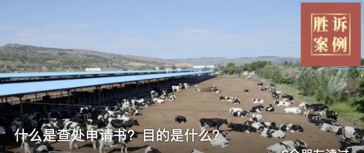 什么是查处申请书？目的是什么？