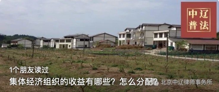 集体经济组织的收益有哪些？怎么分配？