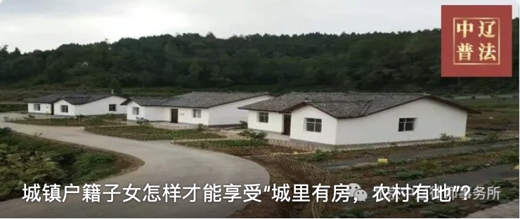 城镇户籍子女怎样才能享受“城里有房，农村有地”？