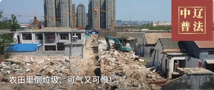 农田里倒垃圾，可气又可恨！