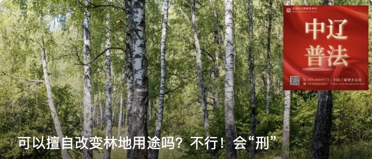 可以擅自改变林地用途吗？不行！会“刑”